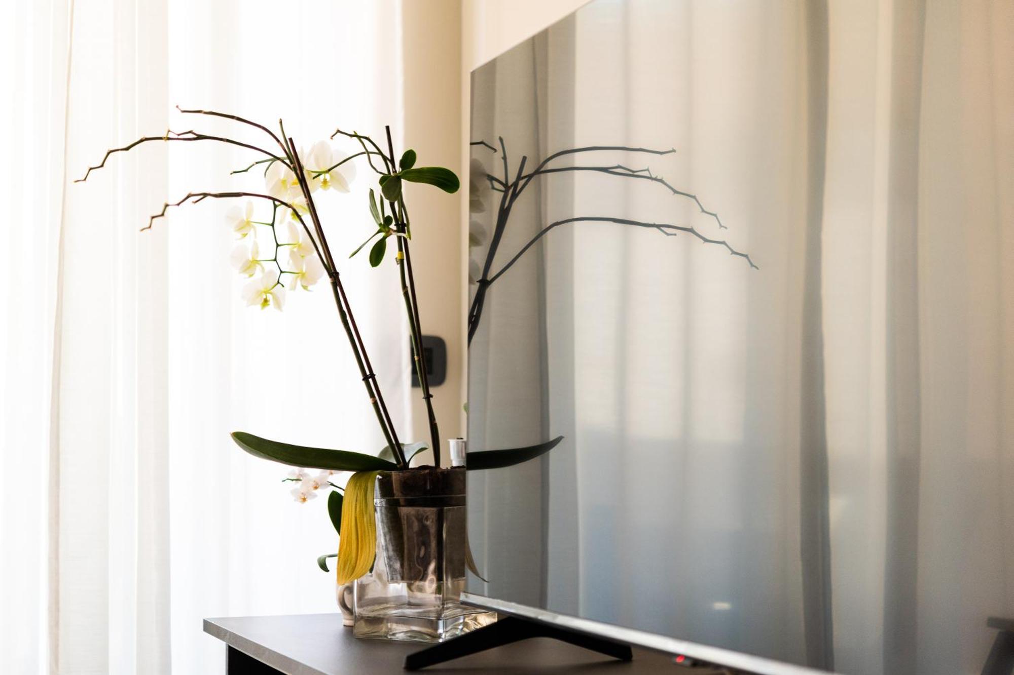 Apartment Casa Delfy Rome