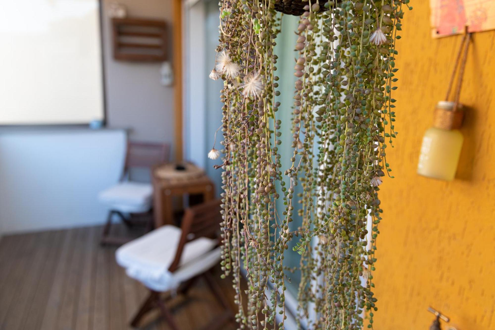 Casa Delfy Apartment *