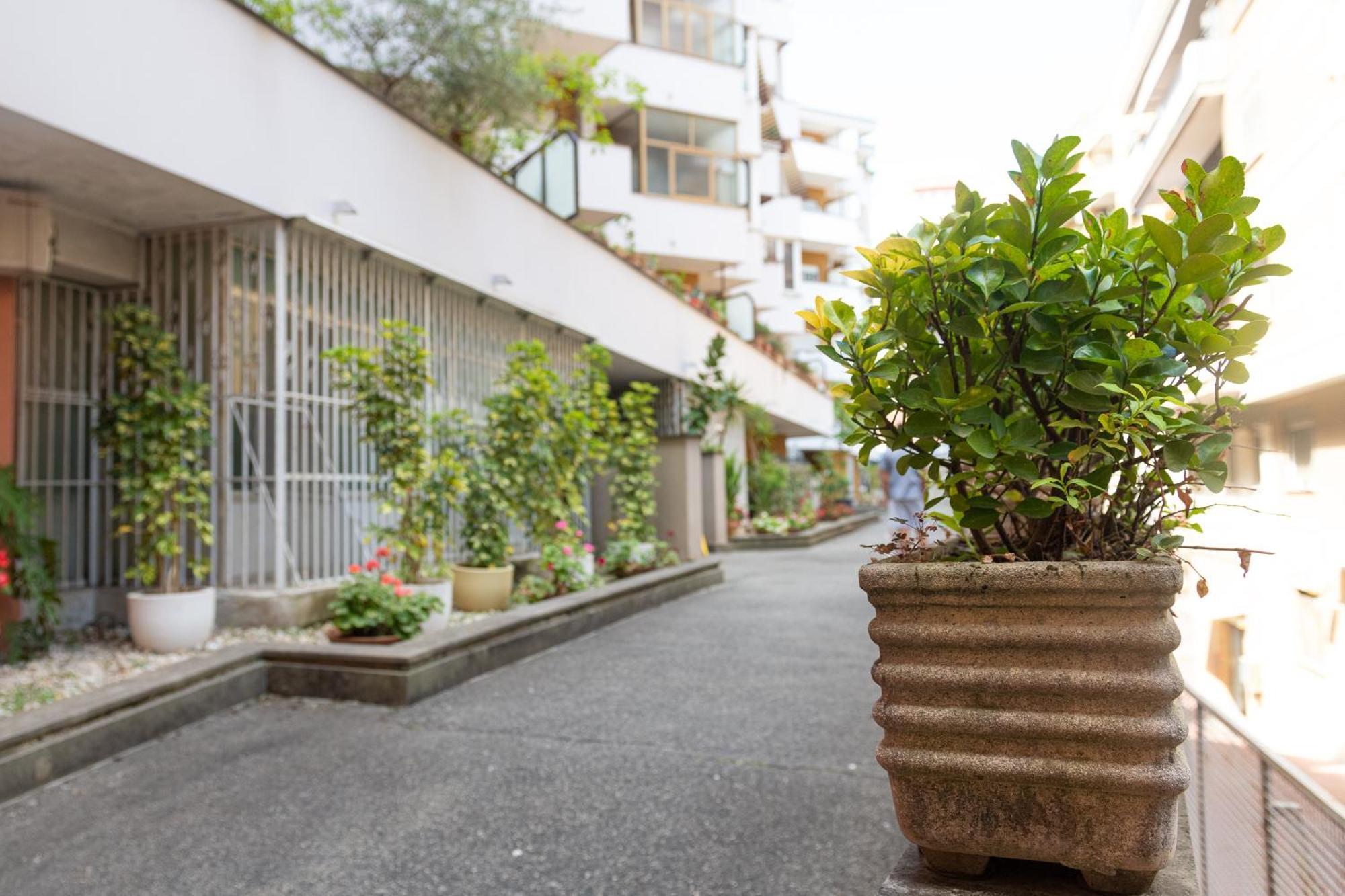 Casa Delfy Apartment *